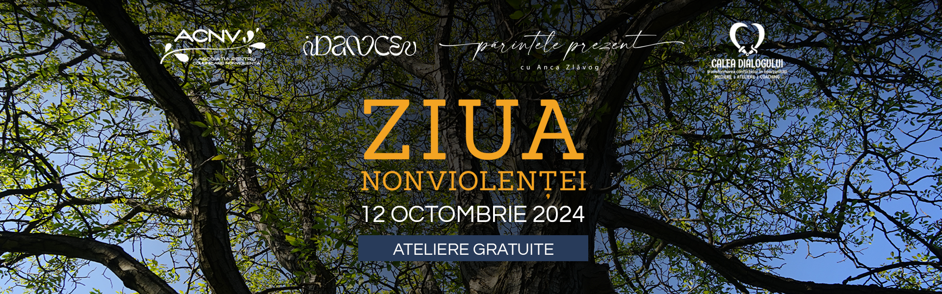 imagine eveniment Ziua Nonviolentei